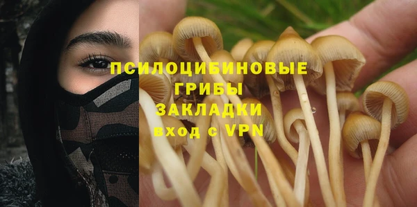 сатива Абдулино