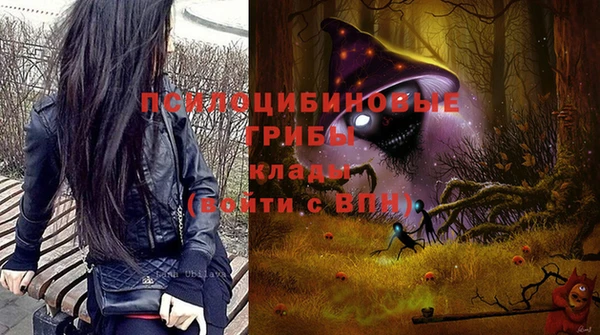 сатива Абдулино