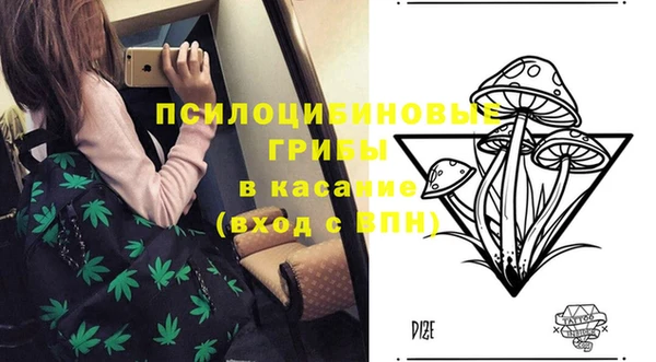 индика Покачи