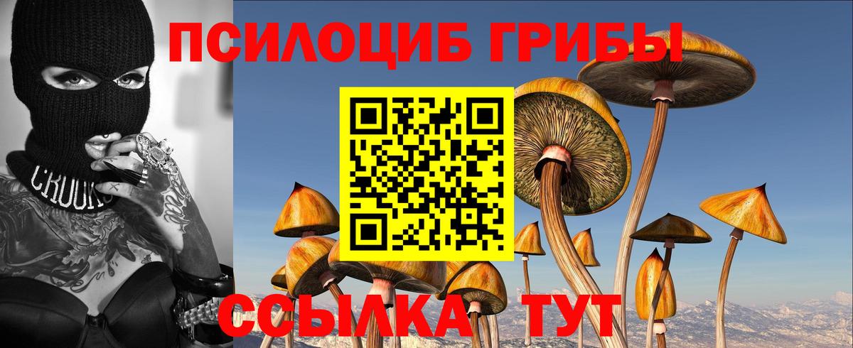 Псилоцибиновые грибы Cubensis  Галлюциногенные грибы ЛСД  Нягань  Вход с VPN 